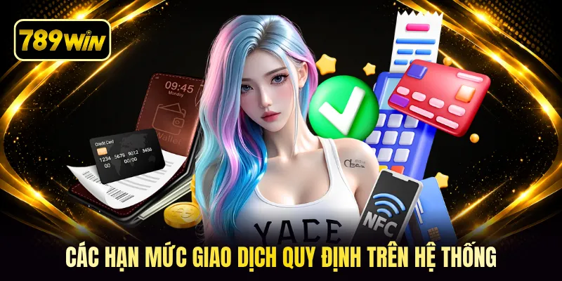 Các hạn mức giao dịch quy định trên hệ thống