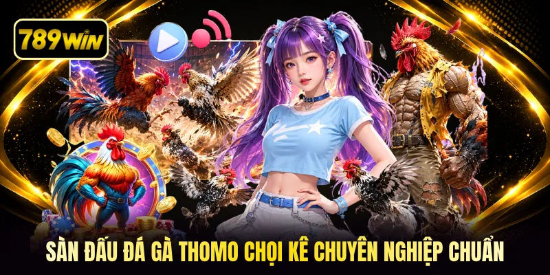 Sàn đấu đá gà thomo chọi kê chuyên nghiệp chuẩn
